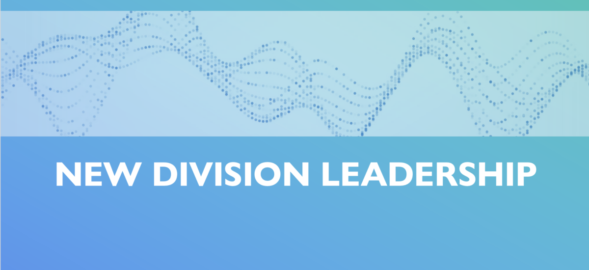 New Division Leadership