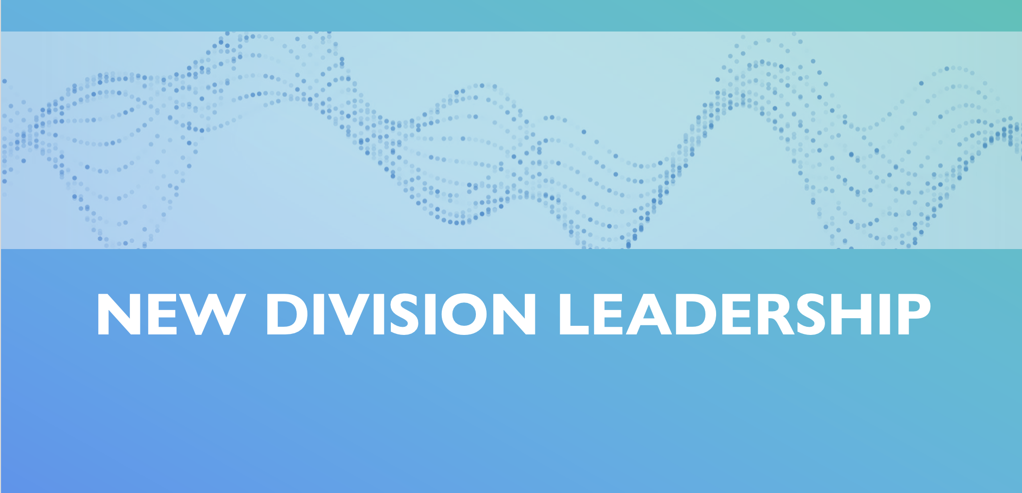New Division Leadership